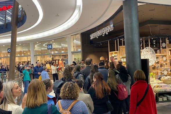 Sostrene amity.jpg
